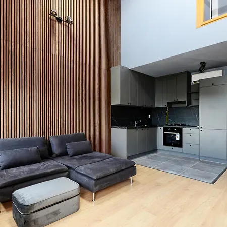 Luxury Duplex In The Center. Apartament