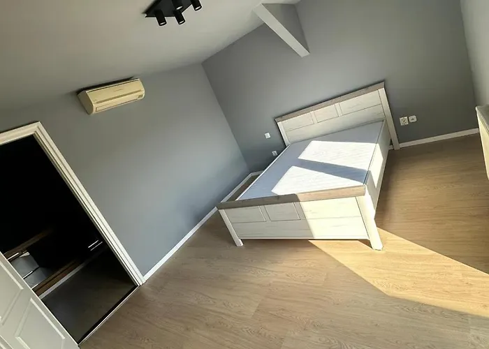 Apartament Luxury Duplex In The Center.